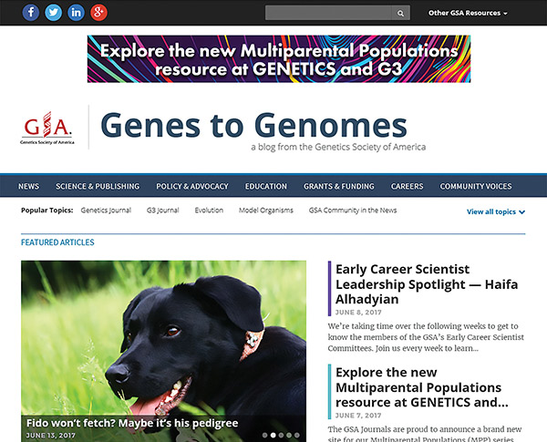 Genes to Genomes