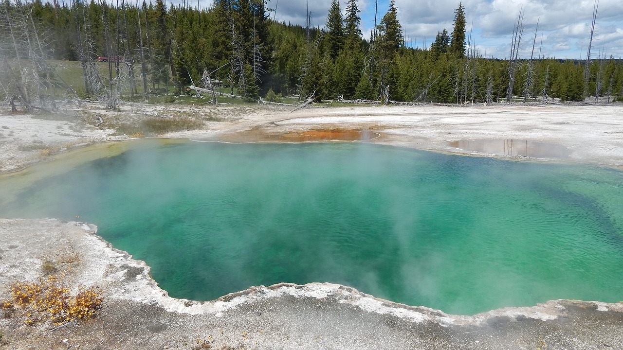 Hot Springs Harbor Microbial Diversity