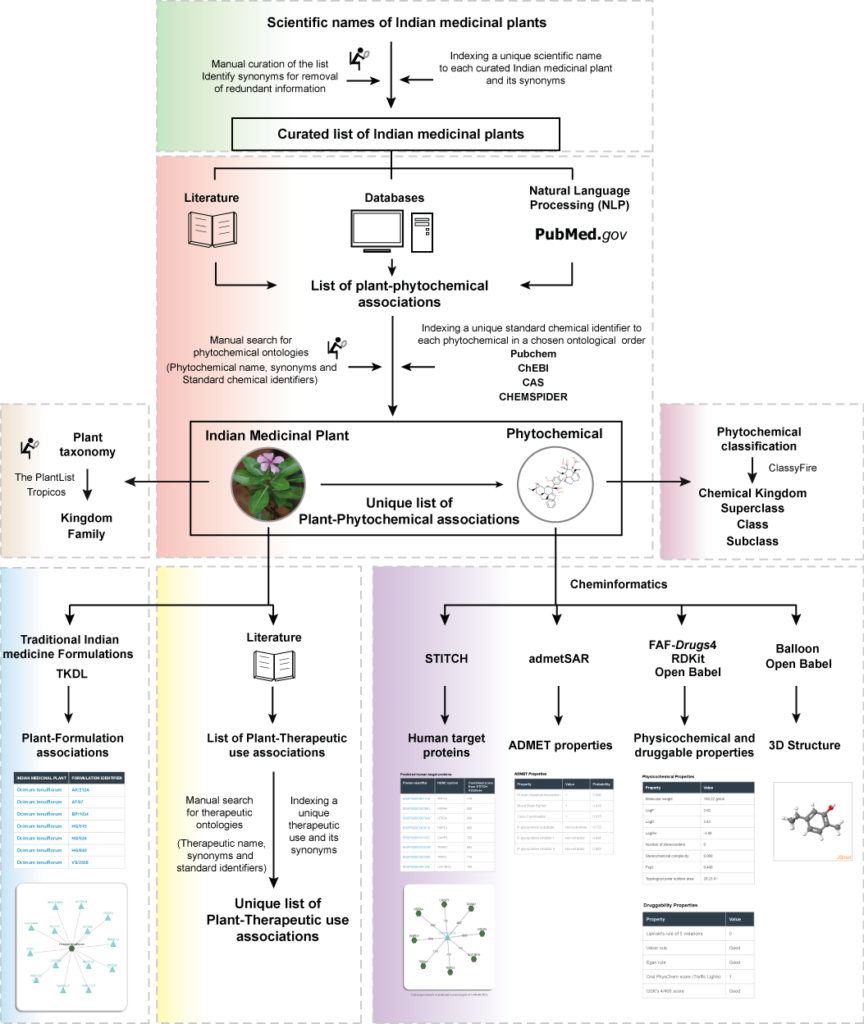 Schematic overview of the database construction pipeline.