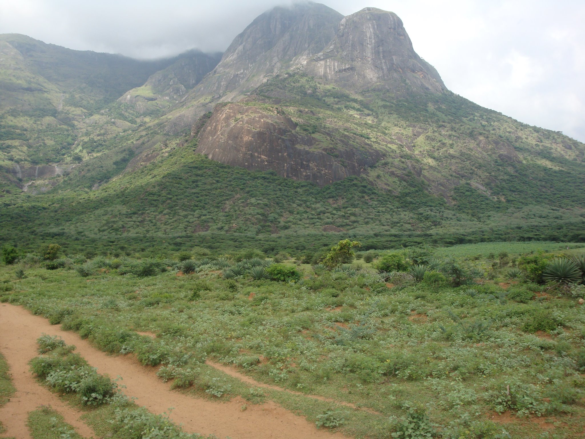 Science Academies Back Neutrino Lab Project In Tamil Nadu