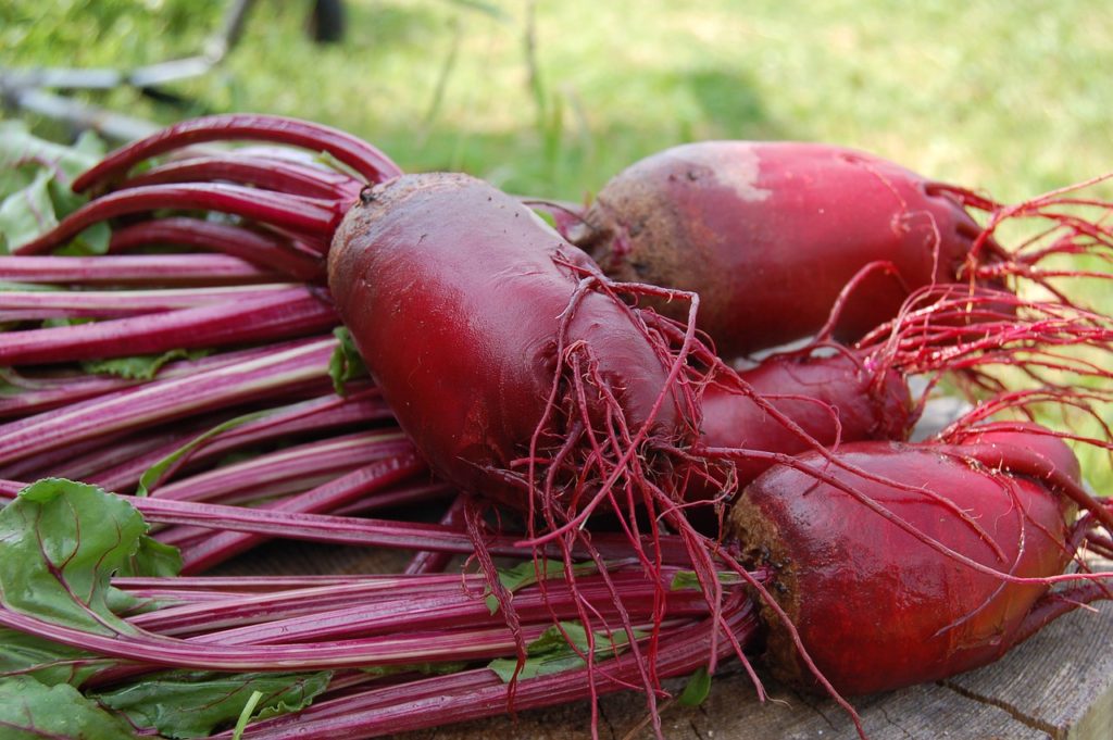 A compound in beets could slow Alzheimer's effects