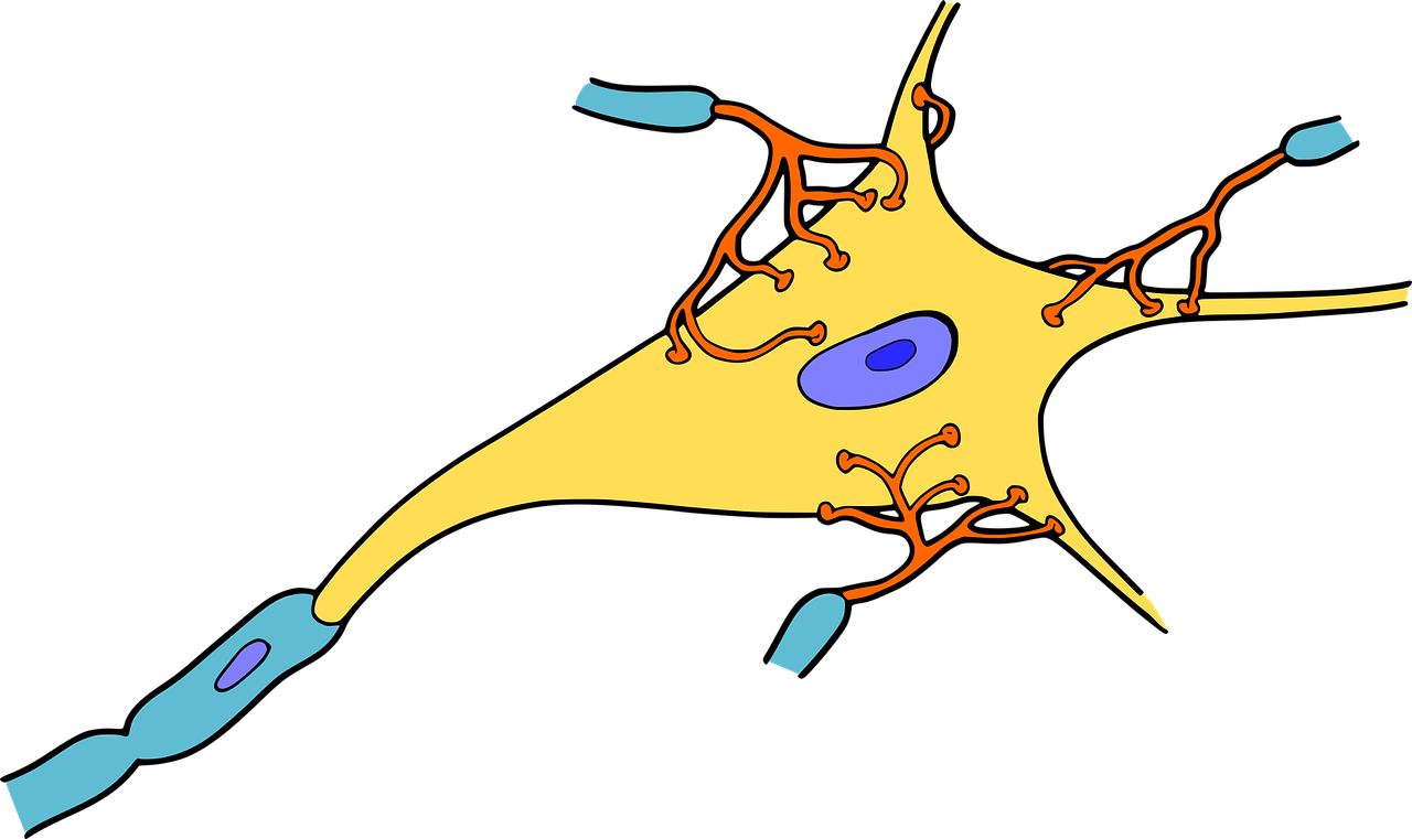Glycogen in Neurons of Degenerating Brains Is Beneficial