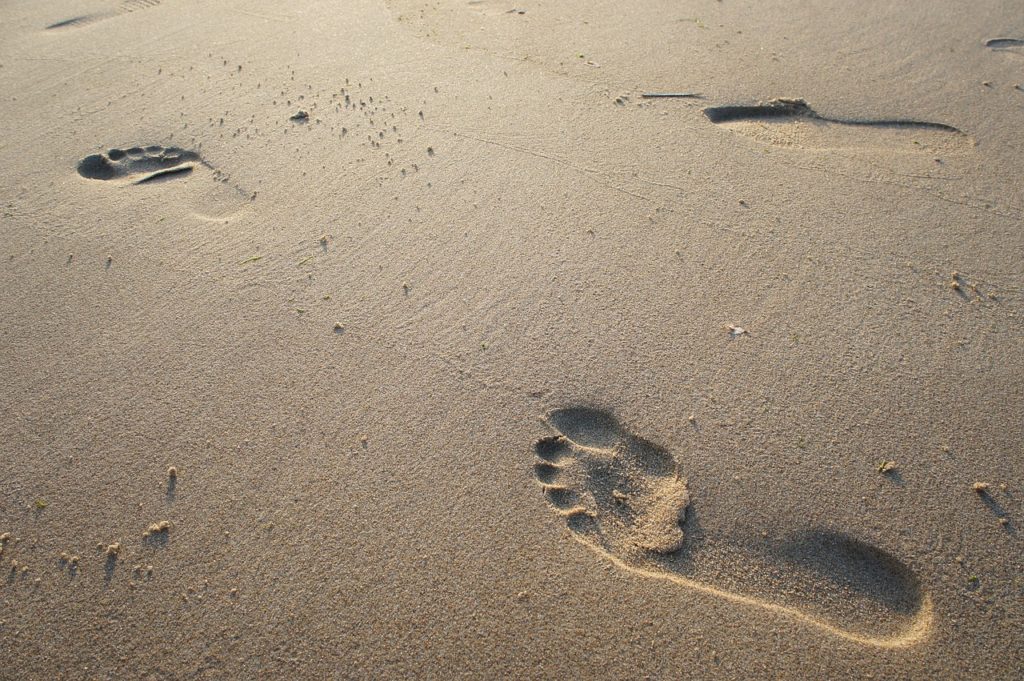 Earliest Known Human Footprints in North America Found on Canadian Island