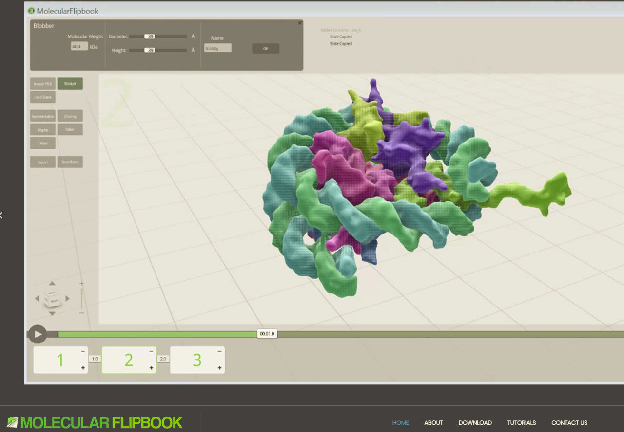 Molecular Flipbook