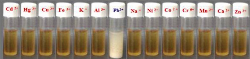 Super tiny nanoparticles – known as carbon dots - have been derived from lemon peel, banana juice and orange peel.