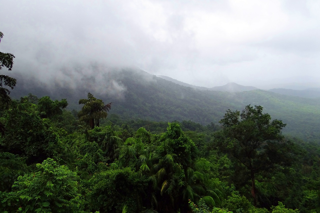 Western Ghats Biodiversity Is a Significant Source of Moisture for Monsoon