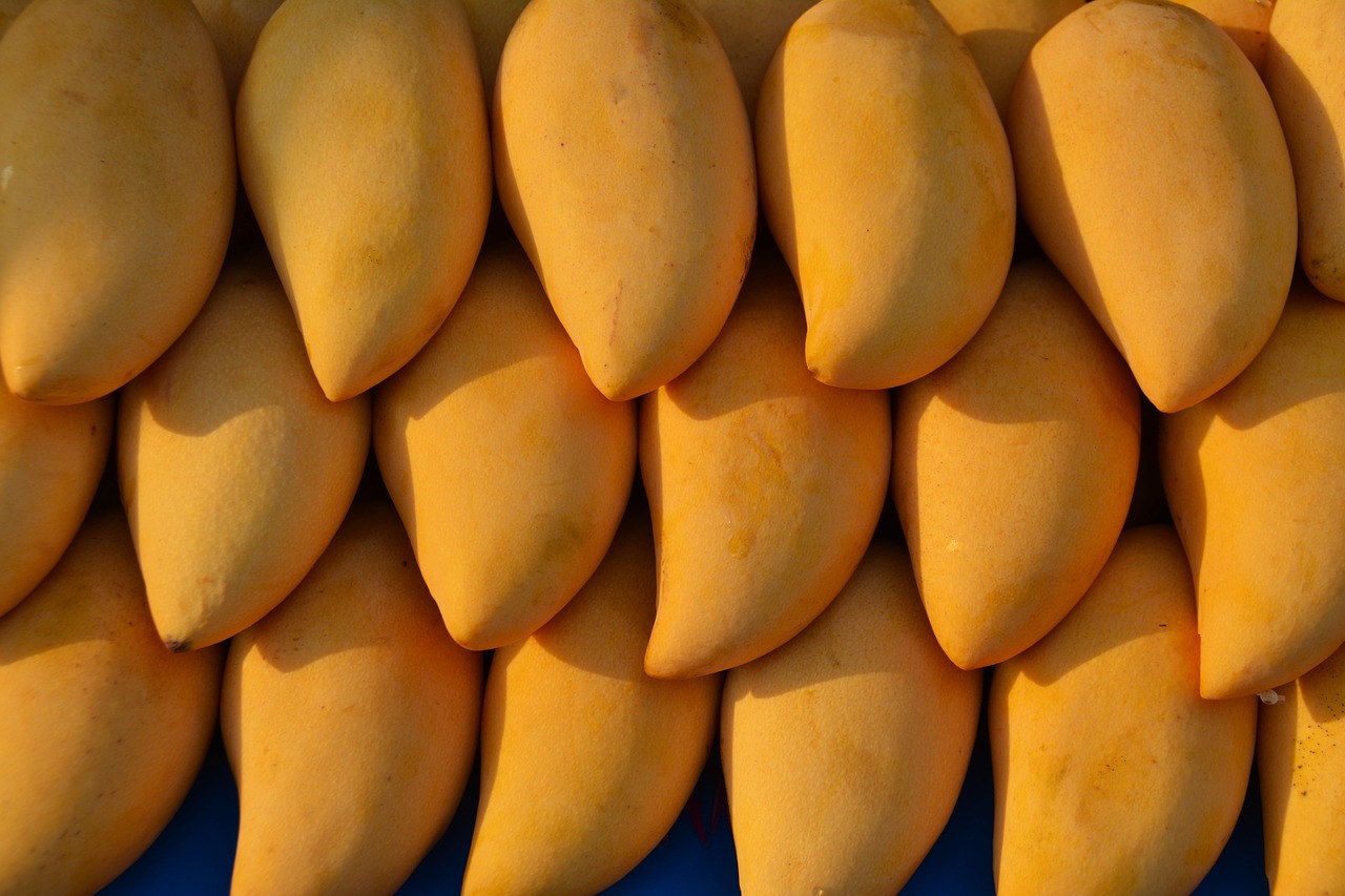 A Mango Database Developed For Plant Breeders
