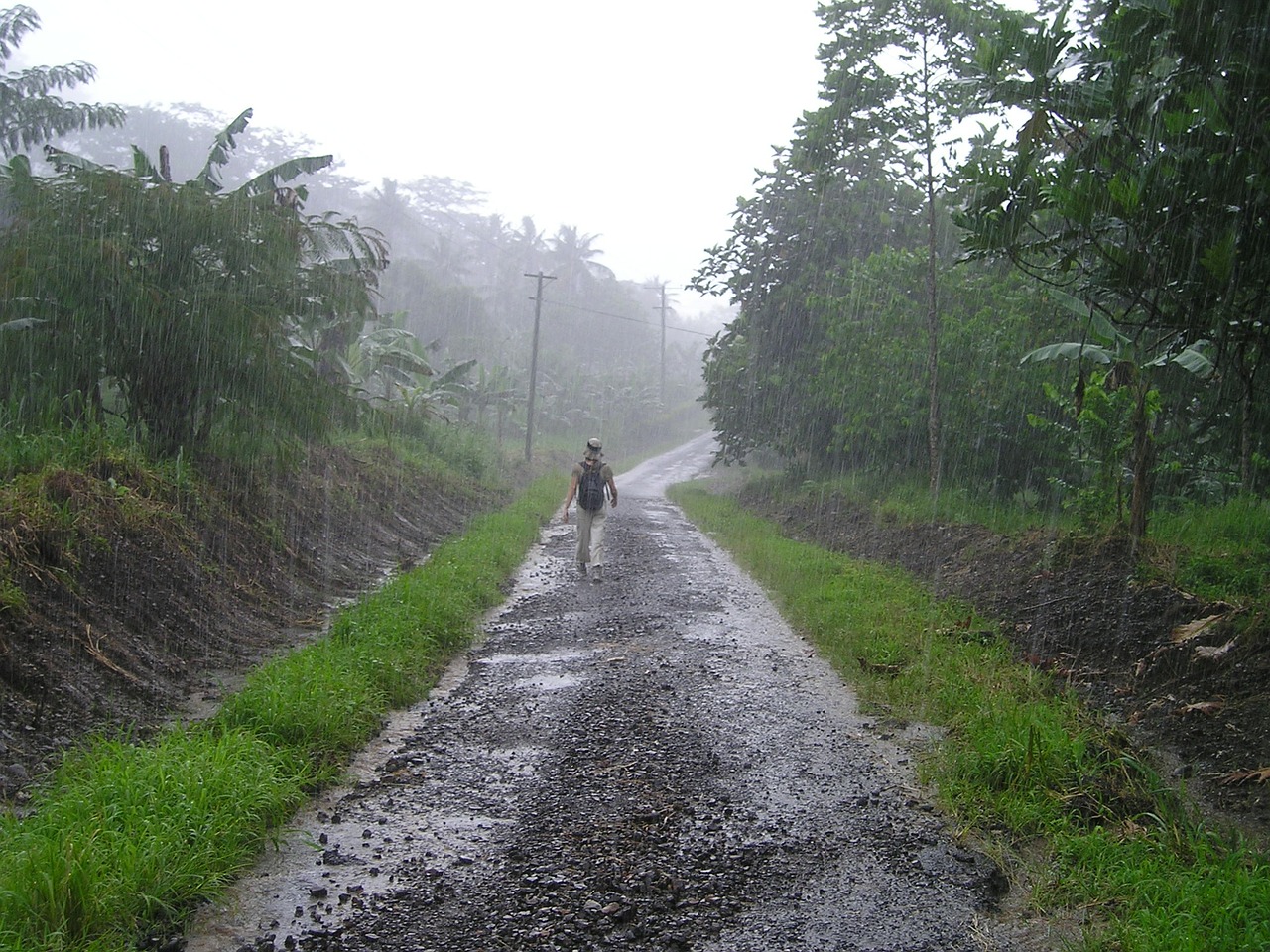 Distribution of Monsoon Rainfall Connected To Global Sea Surface Temperatures