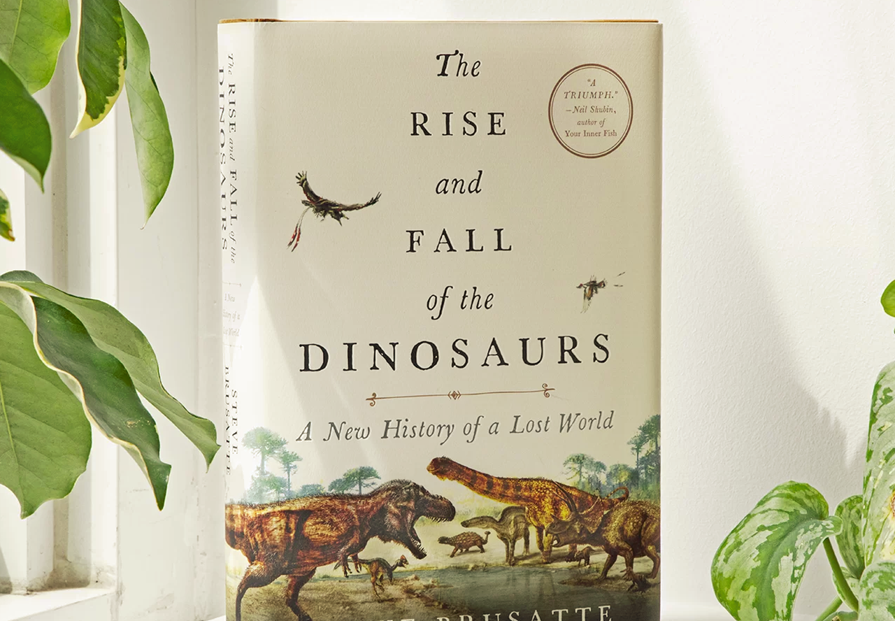 The Rise and Fall of the Dinosaurs