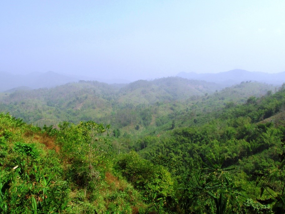 A view of the agricultural landscape