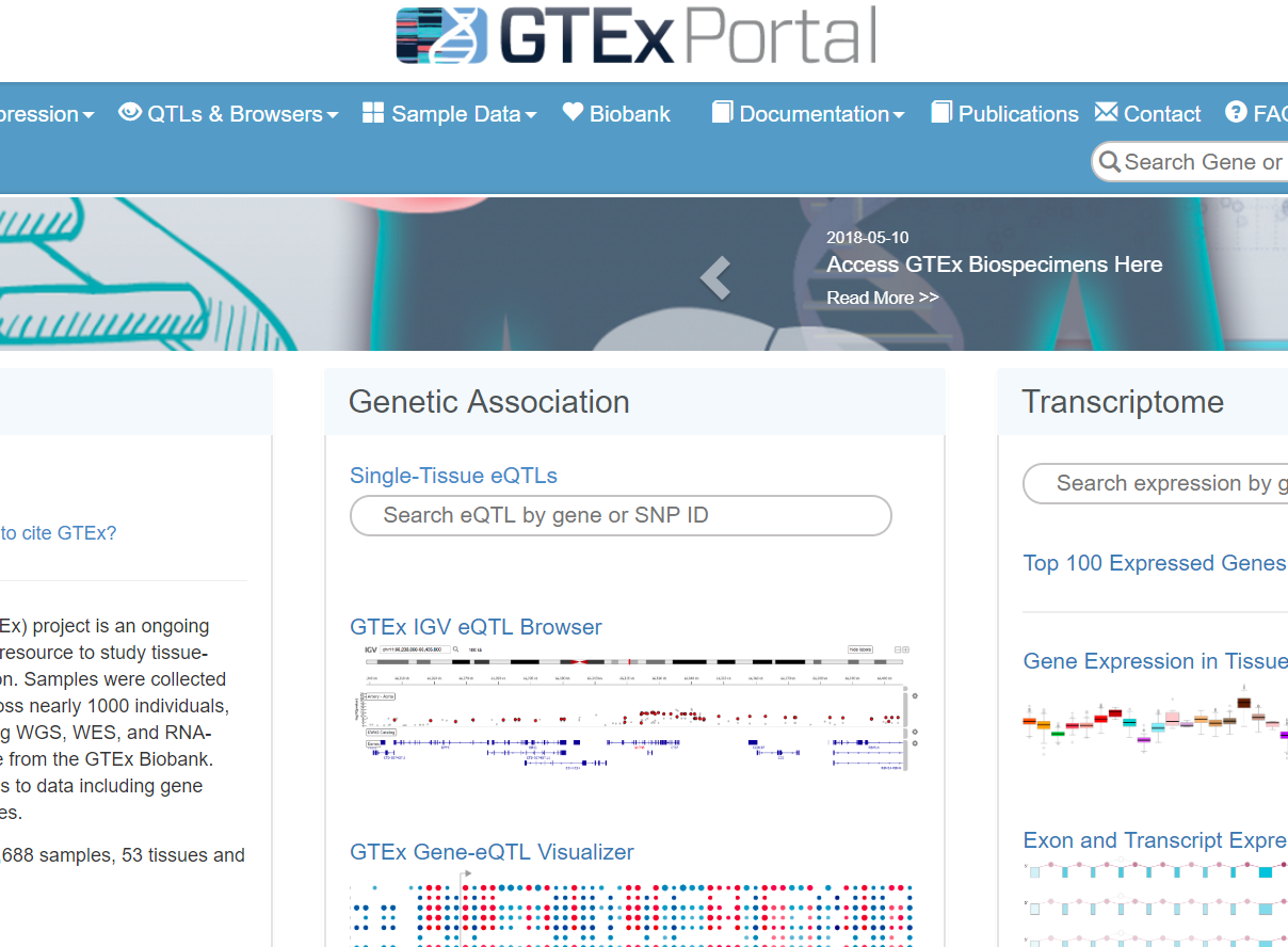 GTEx Portal