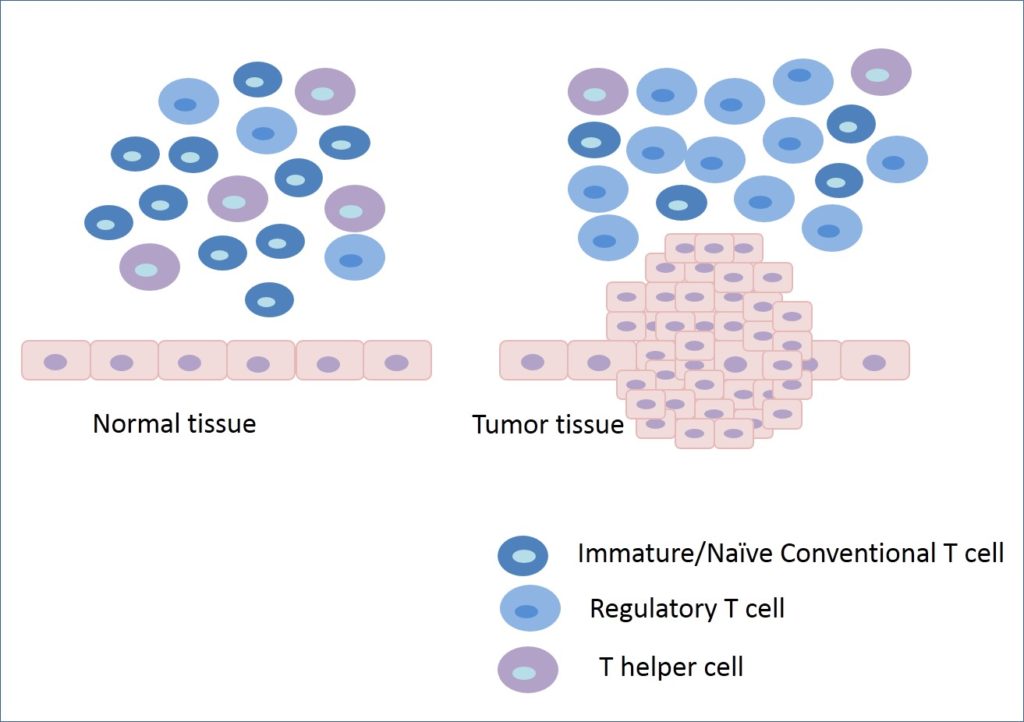 Cancer Cells Manipulate Immune System for Their Survival