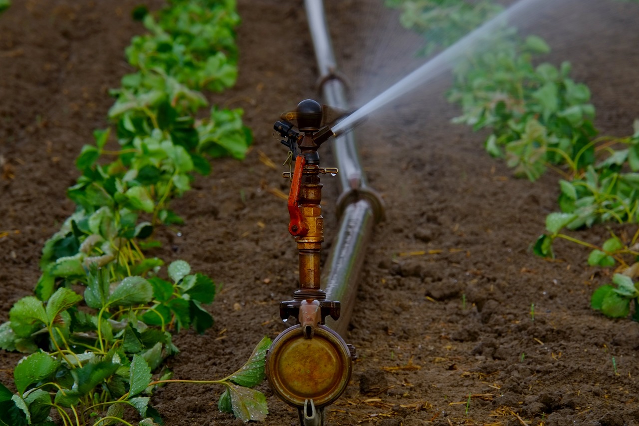 Subsidies On Irrigation Efficiency May Have Negative Impact On Water Use