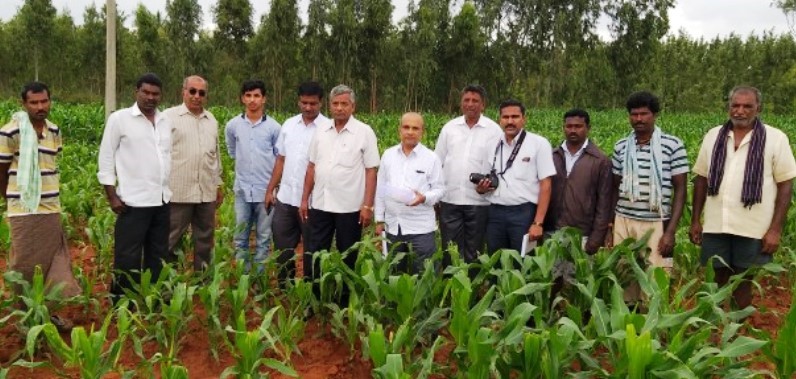 University of Agricultural Sciences, Bengaluru team in the field