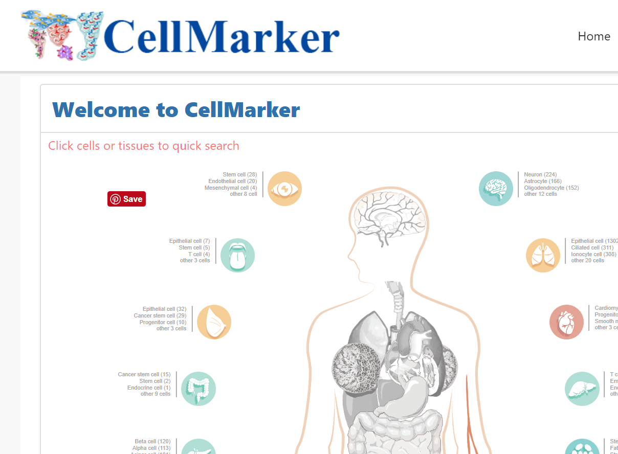 CellMarker