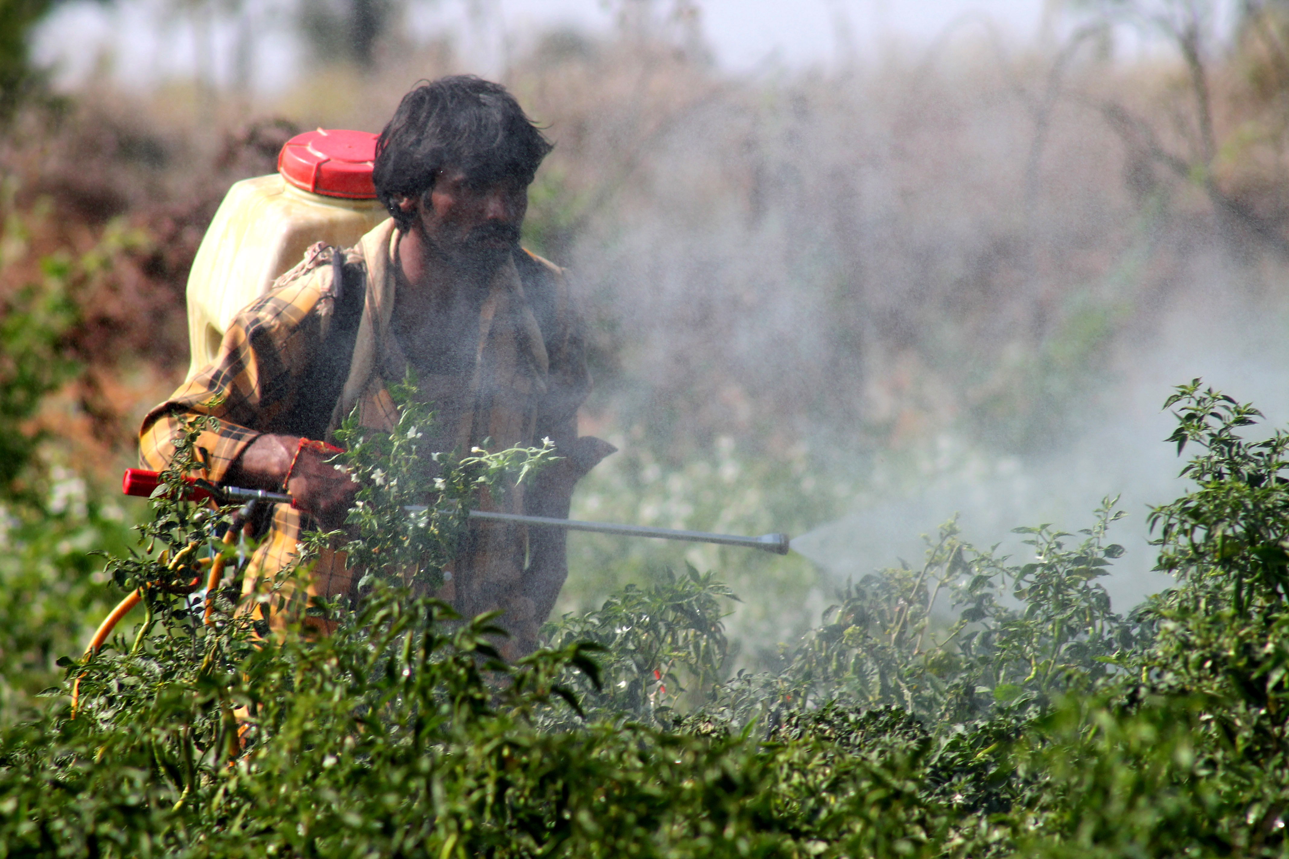 This Gel Can Protect Farmers from Toxic Pesticides