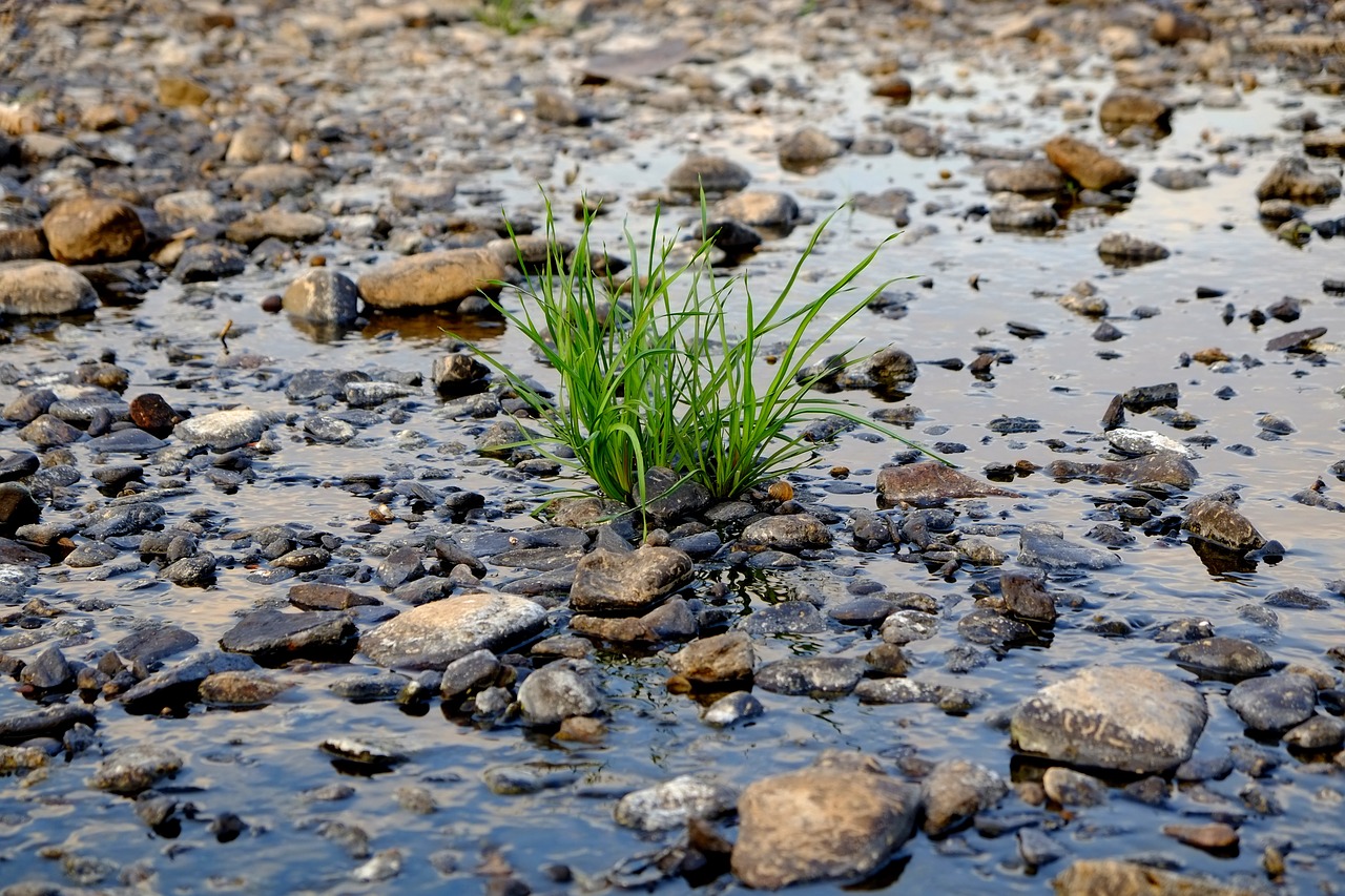 Double Whammy of Groundwater in India