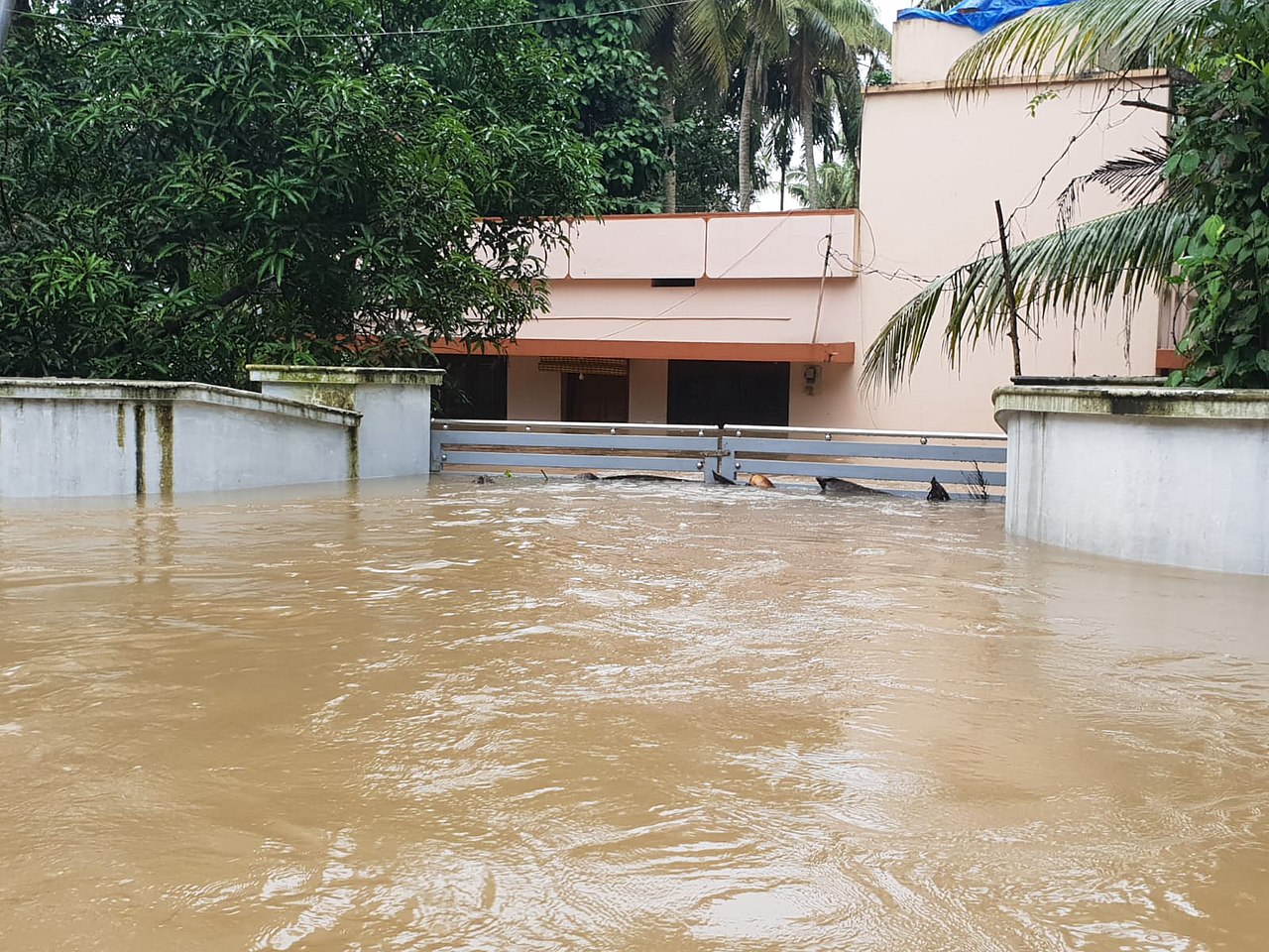 New Study Questions Kerala Flood Link with Climate Change