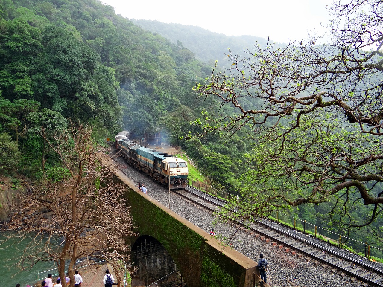 Wind Turbines Are Impacting Ecology in Western Ghats