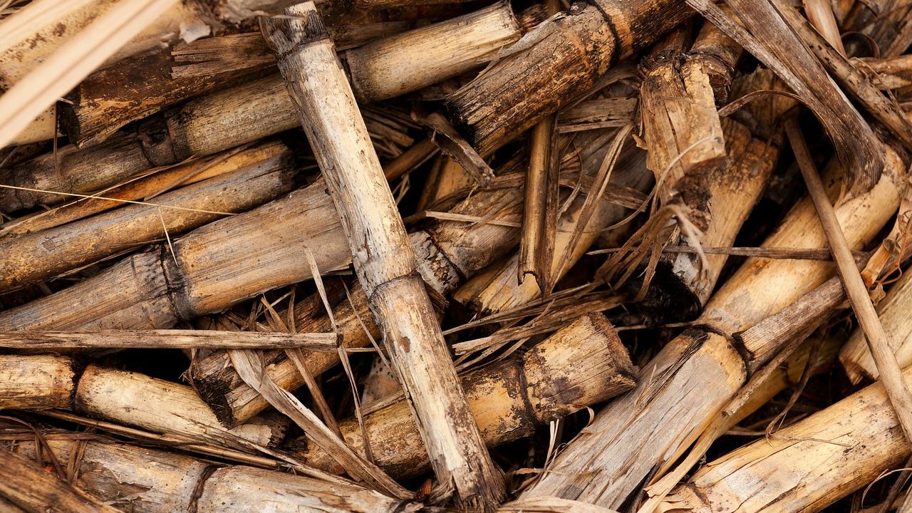 Improved Catalyst Can Speed Up Conversion of Industrial Biomass into Biofuel