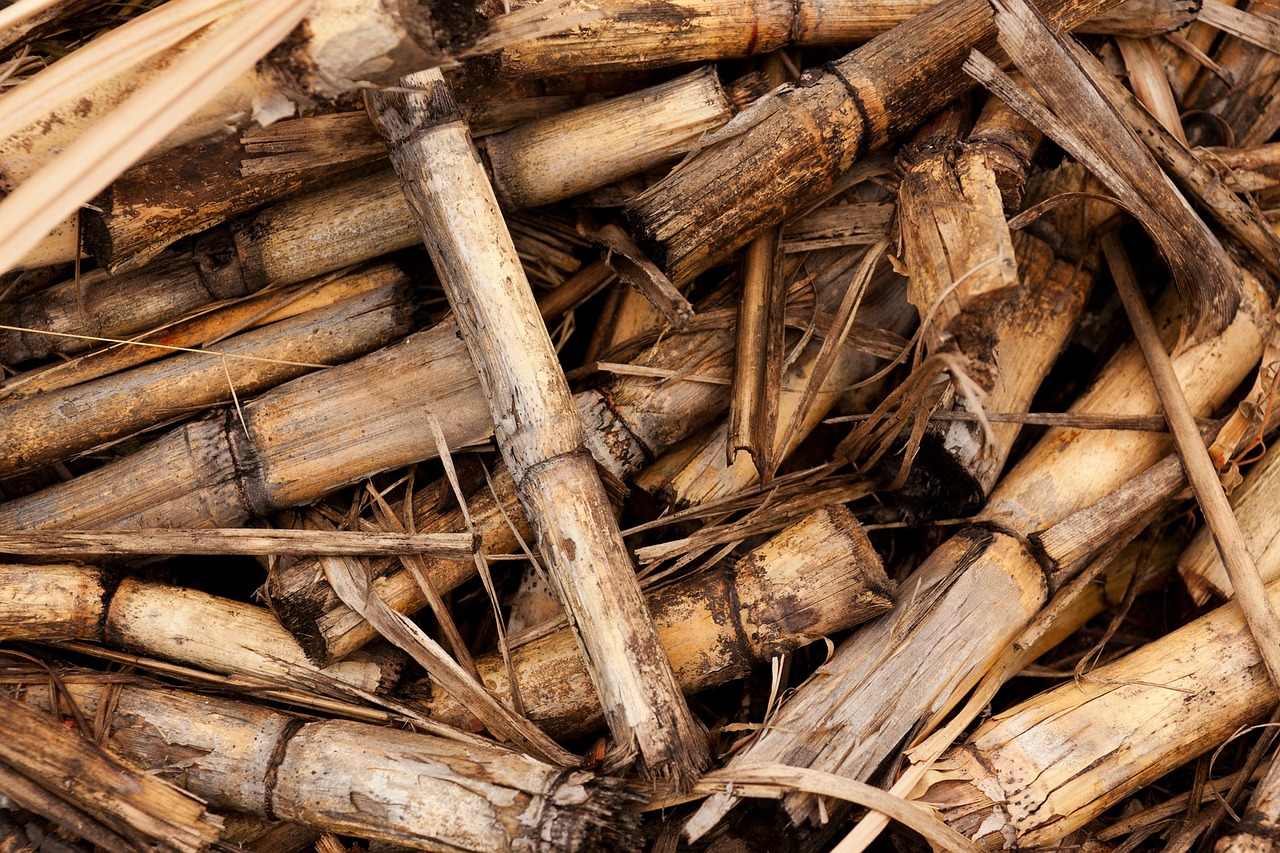 Improved Catalyst Can Speed Up Conversion of Industrial Biomass into Biofuel
