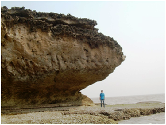 Signatures of Past Climate Change Found On West Coast