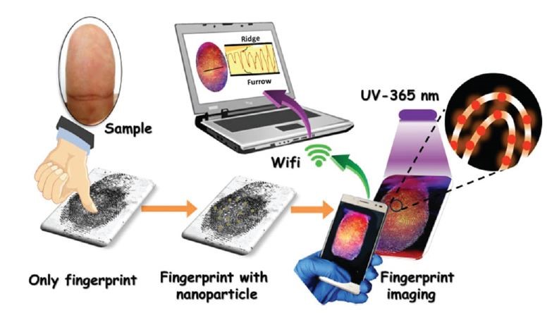 This Nanomaterial May Help Forensics Go High Tech