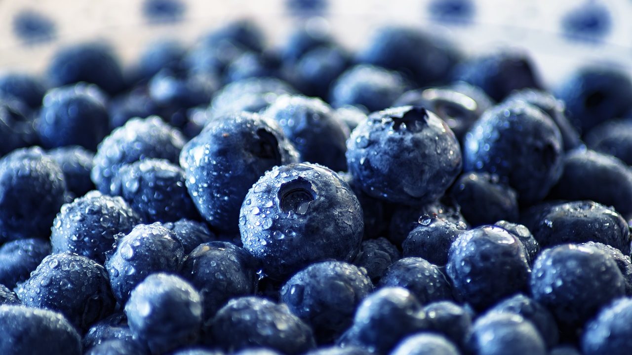 Microbial Metabolite from Berries May Help Address Bowel Disease