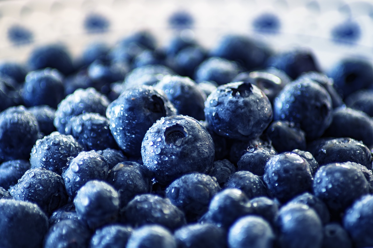 Microbial Metabolite from Berries May Help Address Bowel Disease