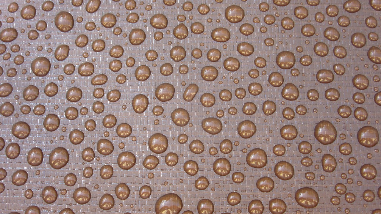 Lotus-Inspired Biodegradable Water Repellent Material Developed