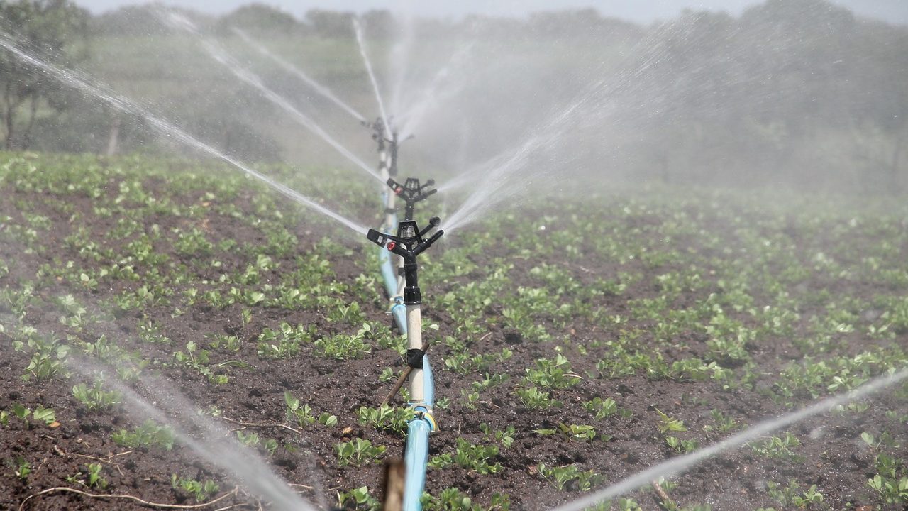 New Web–Based Platform to Help Micro-Irrigation