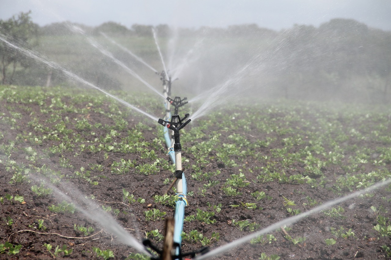 New Web–Based Platform to Help Micro-Irrigation