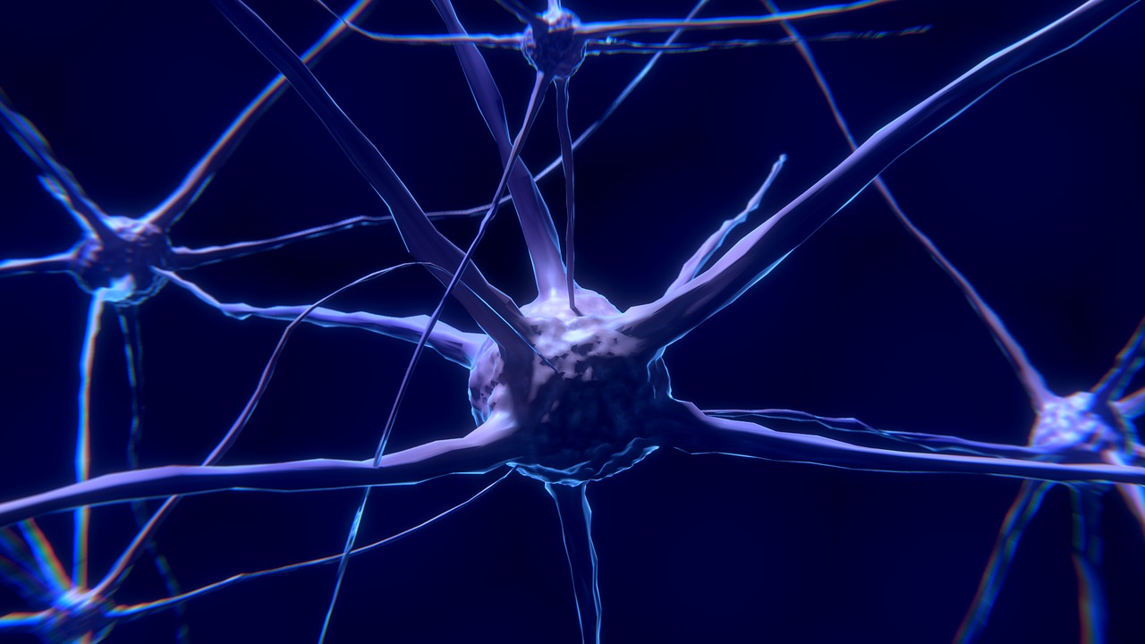 Scientists find Link Between Oxidative Stress And Neurological Disorders