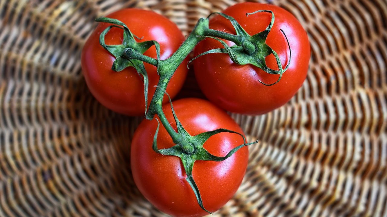 Tomato Gene Involved in Viral Infection and Heat Stress Identified