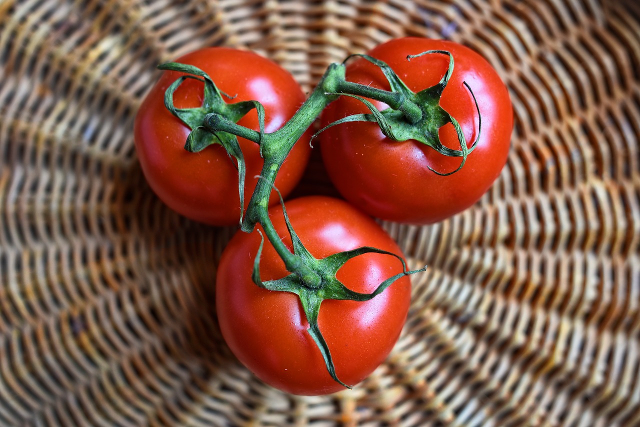 Tomato Gene Involved in Viral Infection and Heat Stress Identified