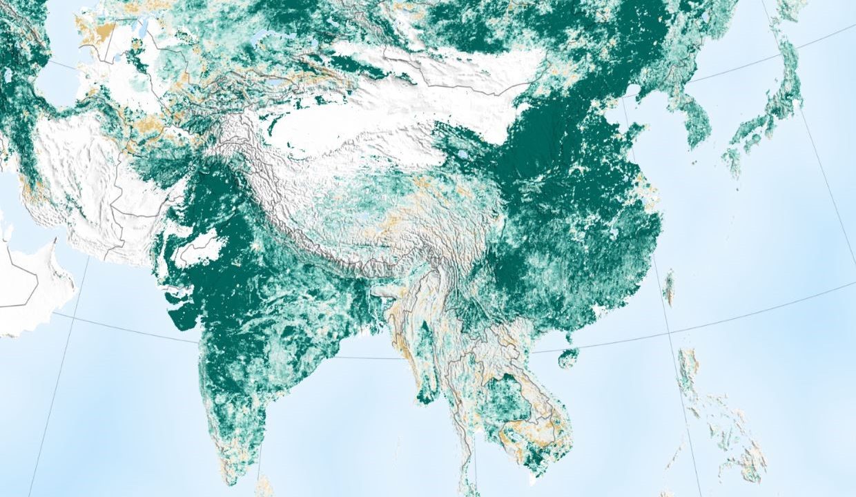 Surprise! India and China Are Greening Faster Than Rest of the World