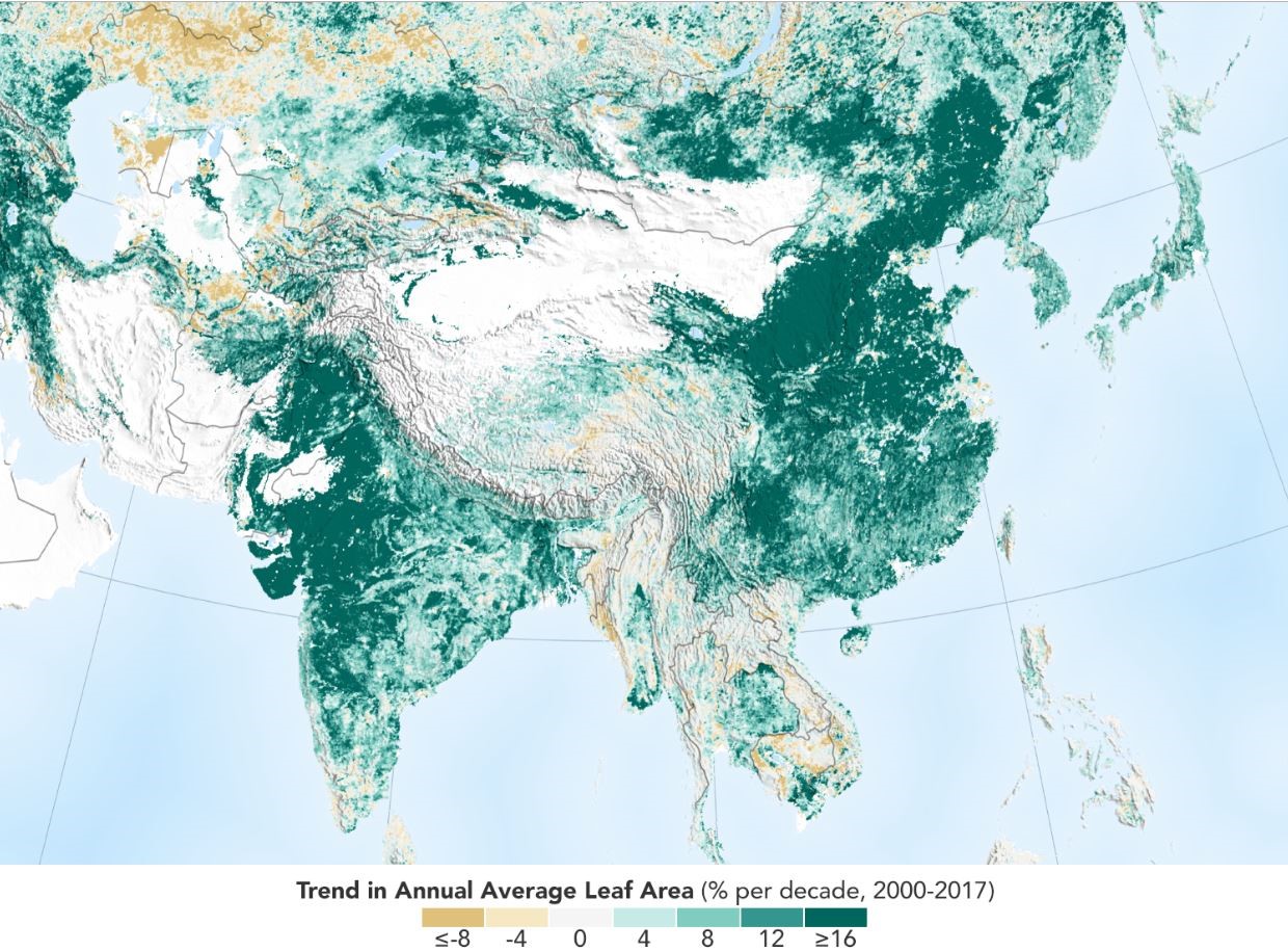 Surprise! India and China Are Greening Faster Than Rest of the World