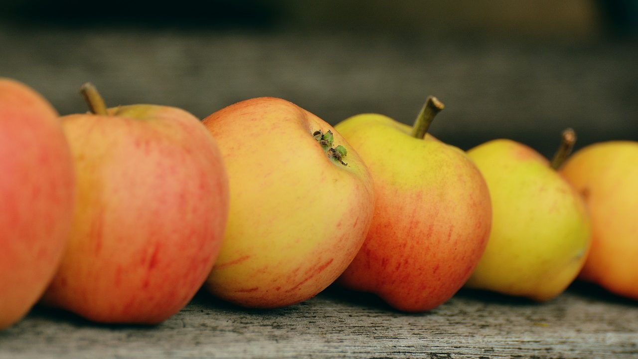 Apple Line Goes Topsy-Turvy in The Himalayas