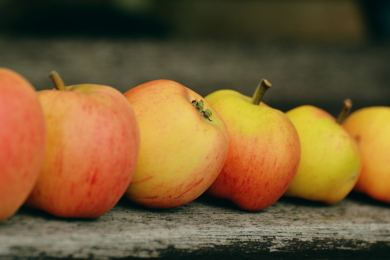 Apple Line Goes Topsy-Turvy in The Himalayas