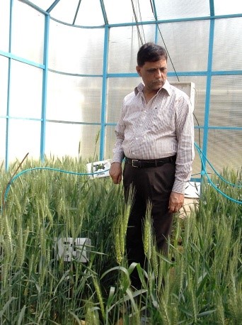 Dr. Pratap Bhanu Singh Bhadoria in the experimental farm at IIT Kharagpur