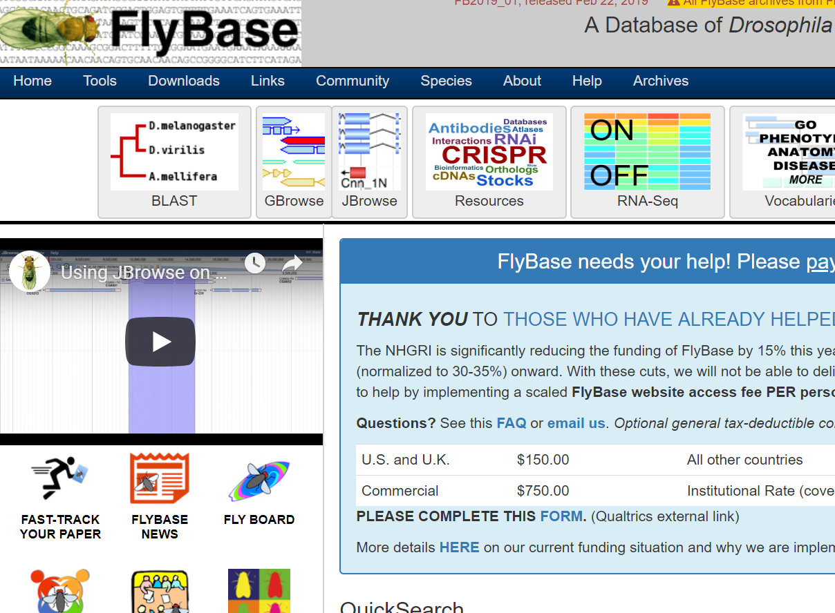 FlyBase - A Database of Drosophila Genes and Genomes