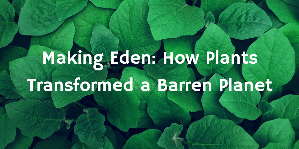 Making Eden How Plants Transformed a Barren Planet