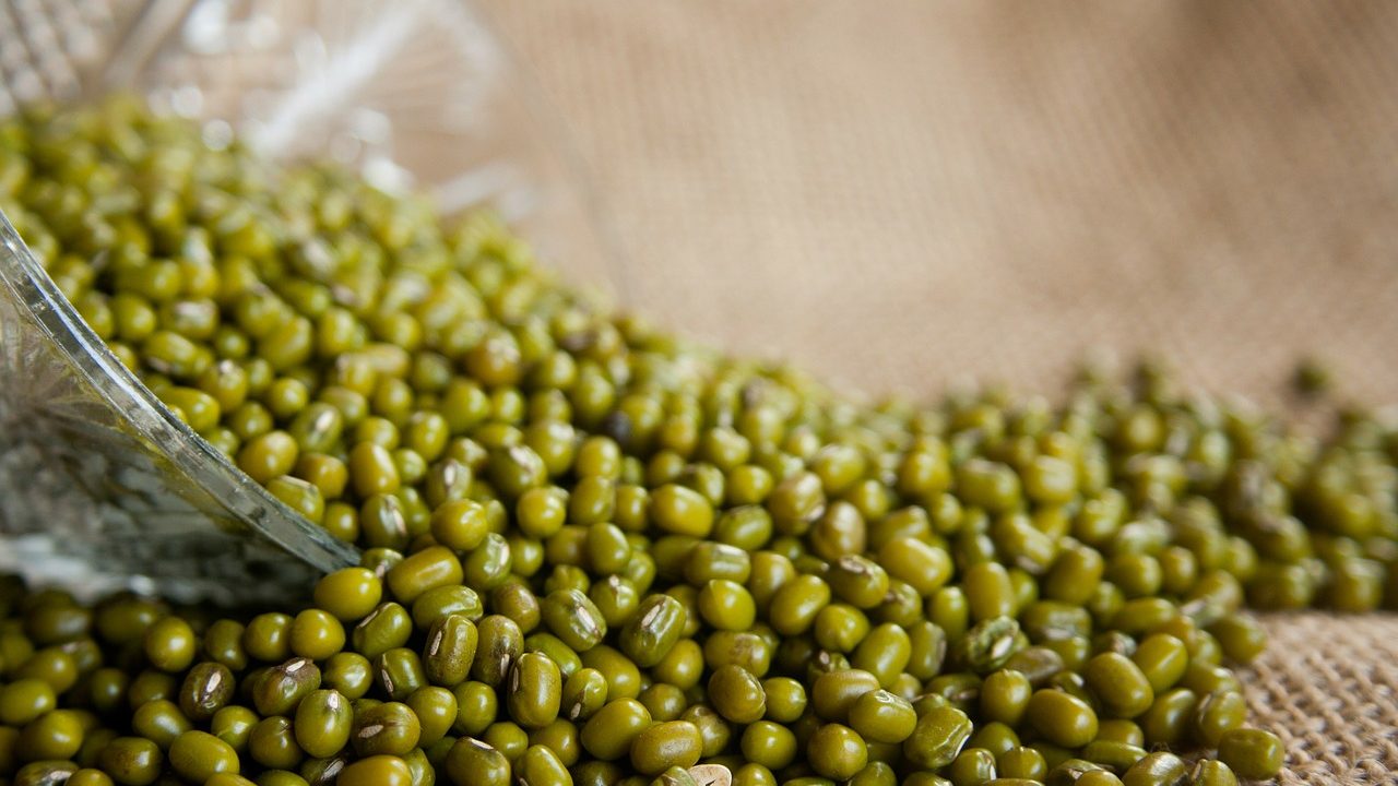 This Amino Acid Can Help Mung Bean Plants Withstand Heat Stress