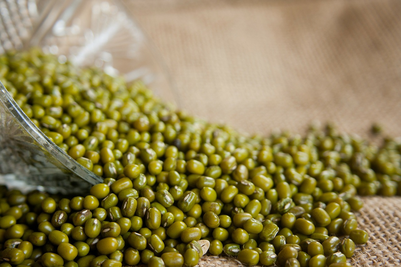 This Amino Acid Can Help Mung Bean Plants Withstand Heat Stress