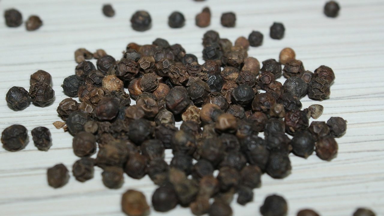 Alkaloid from Black Pepper Shows Promising Results Against Neurological Disorder