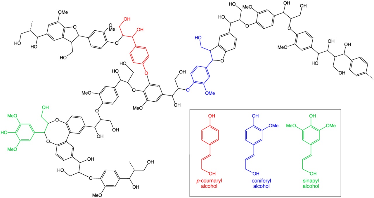 Lignin from Agro Waste Helps Make Useful Nano-composites