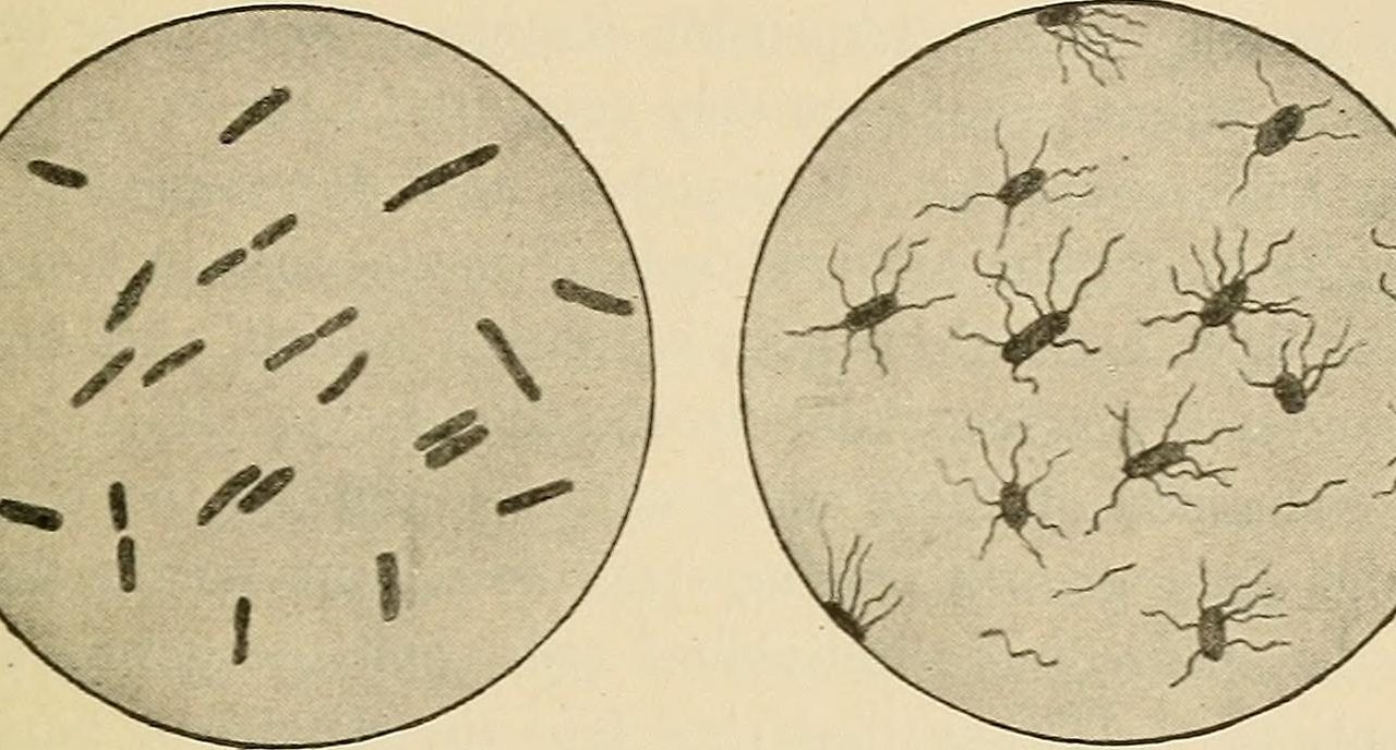 Scientists Propose Controlled Human Infection Model Studies