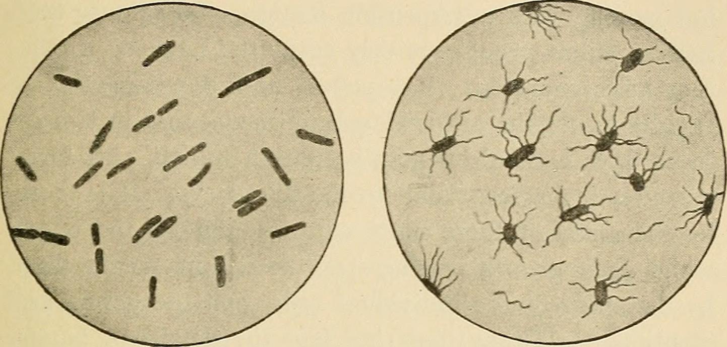 Scientists Propose Controlled Human Infection Model Studies