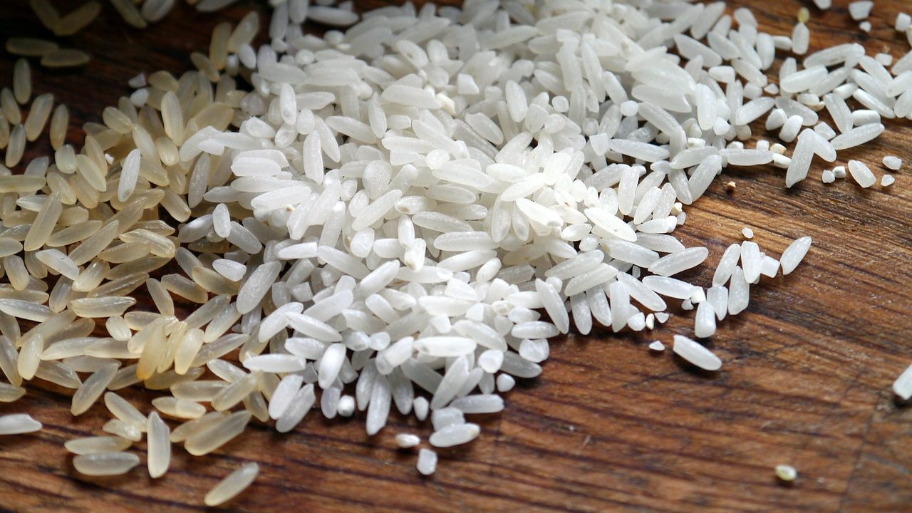 Study Paves the Way for New Approach to Boost Rice Yield