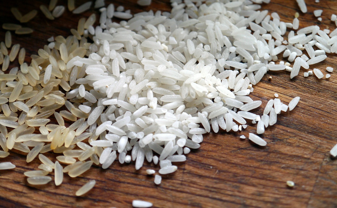 Study Paves the Way for New Approach to Boost Rice Yield